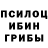Псилоцибиновые грибы мицелий Sergiy Bazko