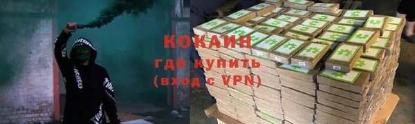 прущие грибы Нязепетровск