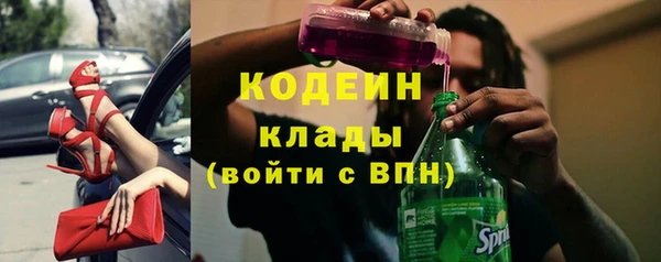 прущие грибы Нязепетровск